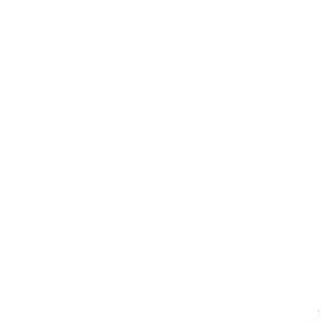 ROI 10X Logo
